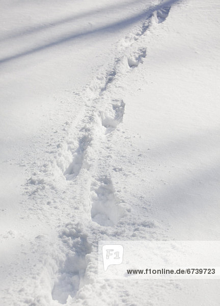 Fußspuren in Schneedecke