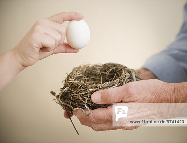 Vogelnest Nest halten Close-up Enkelsohn Großvater 5-9 Jahre 5 bis 9 Jahre