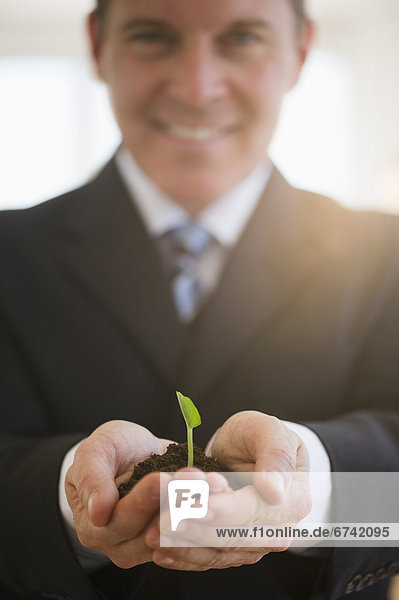 Businessman holding seedling