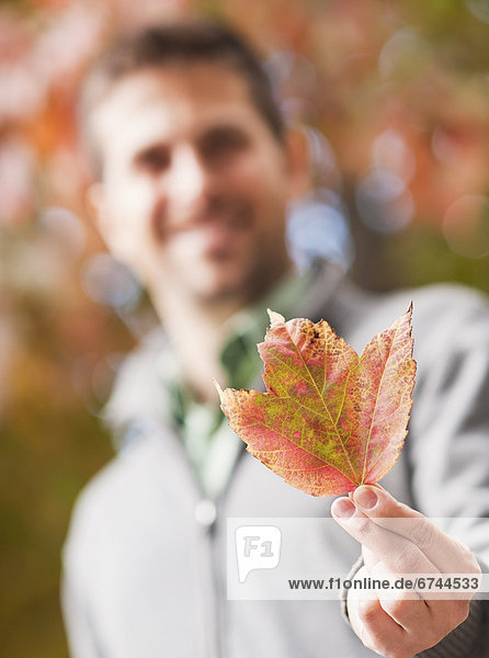 Farbaufnahme  Farbe  Mann  Pflanzenblatt  Pflanzenblätter  Blatt  halten  Herbst