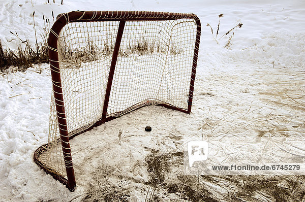 Netz  Puck  Hockey  Teich