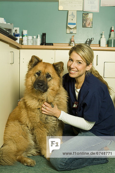 Hund  Büro  Tierarzt