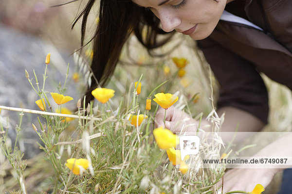 Woman Picking Wildflowers
