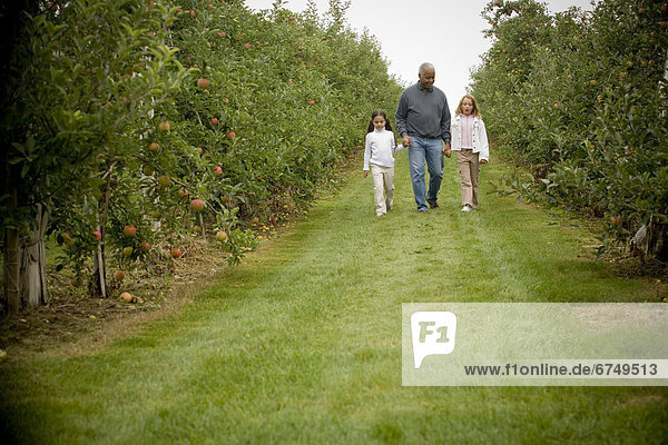 Girls Walking through Apple Farm with Senior Man