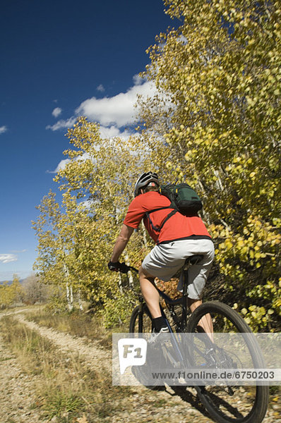 Man riding mountain bike  Utah  United States