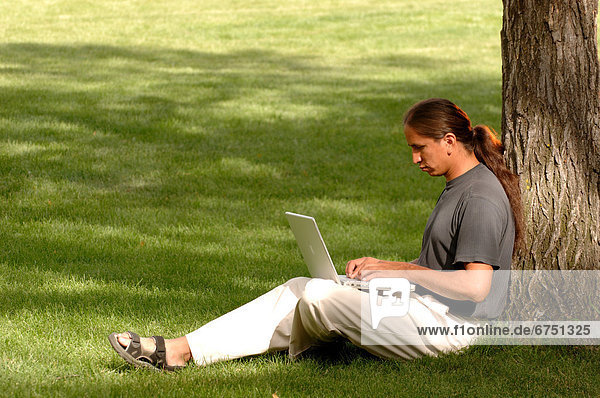 sitzend Mann Notebook Baum arbeiten