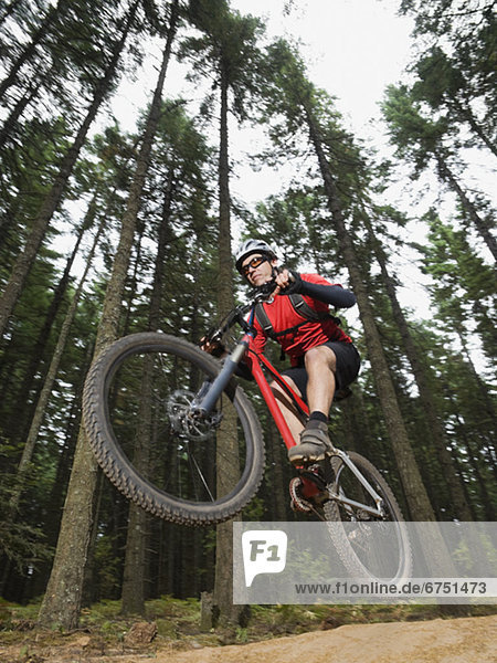Mountain biker in mid-air on forest trail