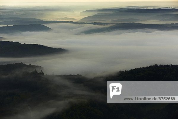 Morgennebel mit Wald im Donautal  Luftbild