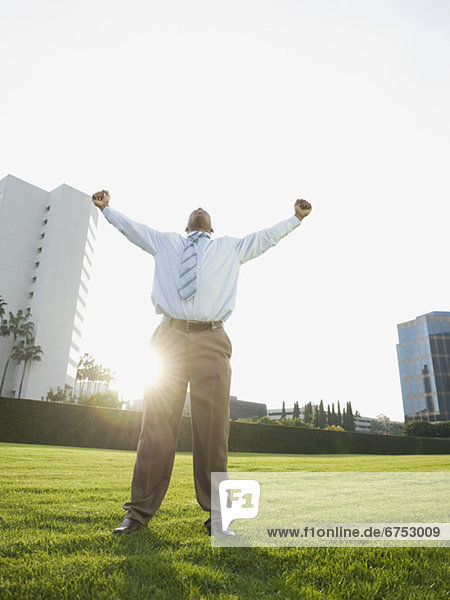Businessman standing on lawn