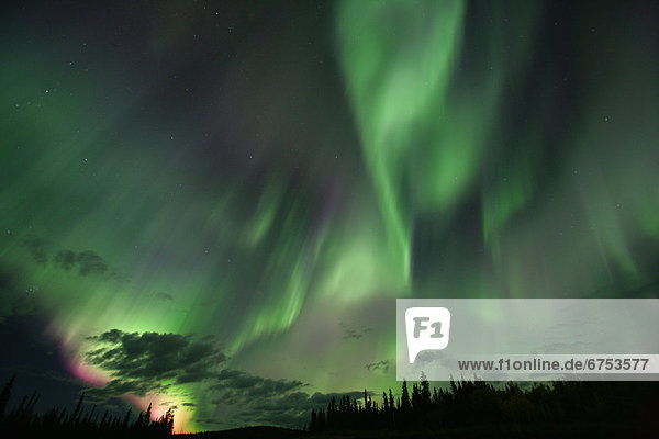 Polarlicht  Yukon