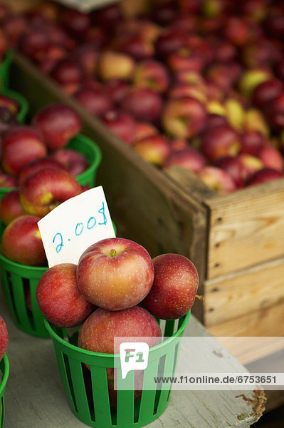 Äpfel  Jean-Talon Bauernmarkt  Montreal  Quebec