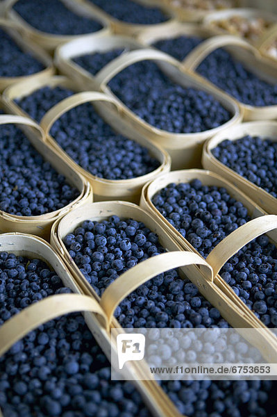 Blueberries  Jean-Talon Farmer's Market  Montreal  Quebec