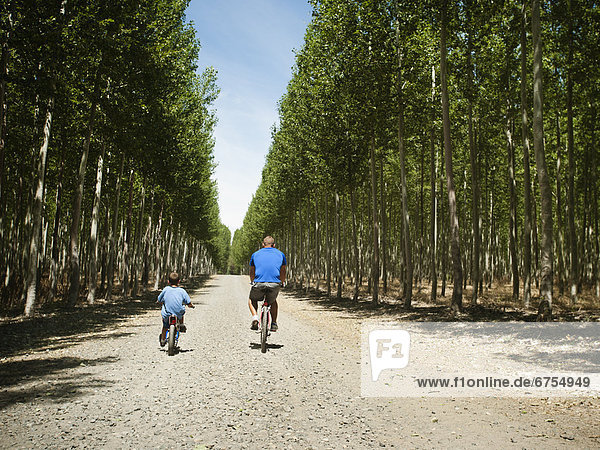 Father with son (8-9) cycling up country road