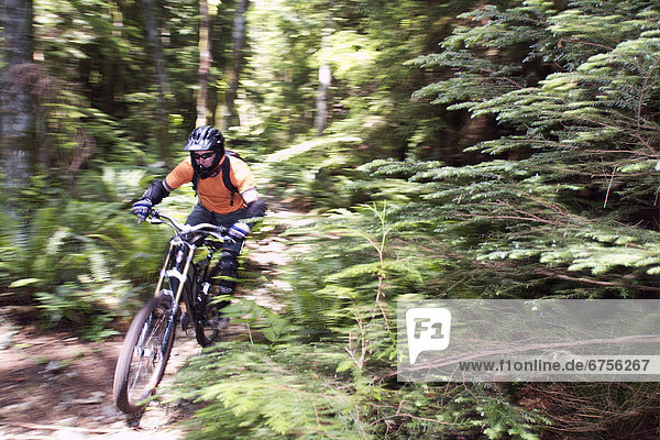 Mountain Biker in Forest  British Columbia