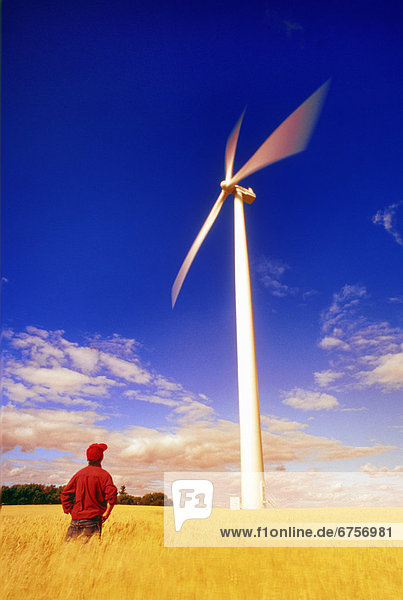 Windturbine Windrad Windräder Bauer Weizenfeld Leon Manitoba