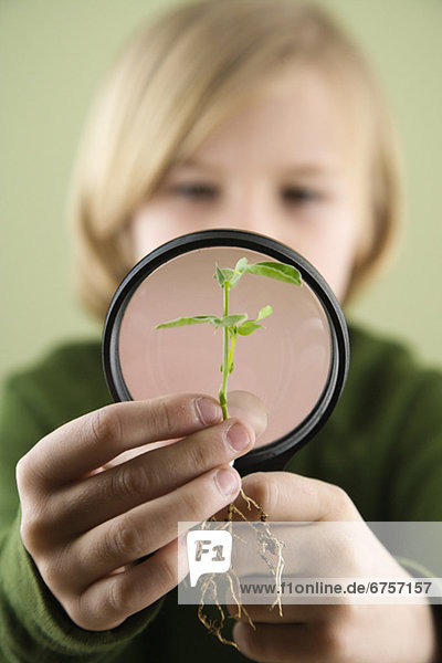 Glas  Junge - Person  Pflanze  Aussichtsplattform  Untersuchung