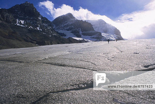 Columbia Icefields  Athabasca Glacier  Banff  Alberta