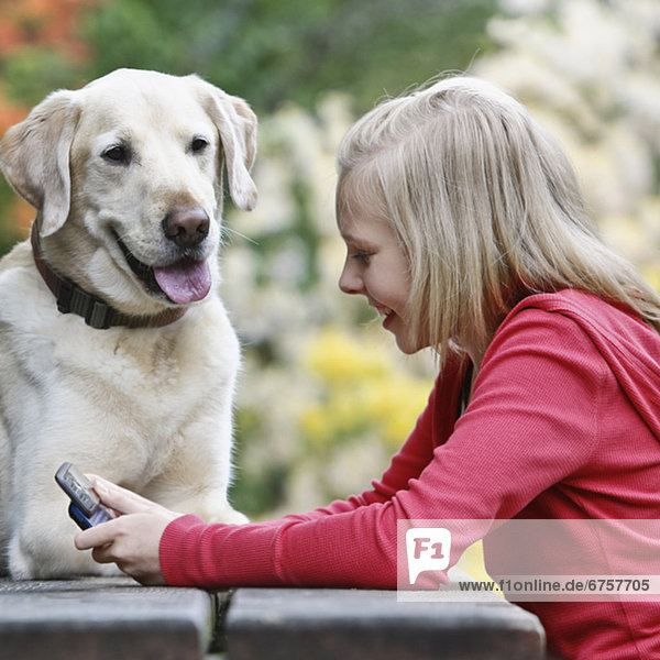 Dog watching girl use cell phone
