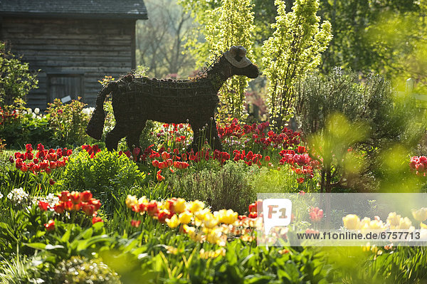 Horse Topiary  Riverdale Farm  Toronto  Ontario