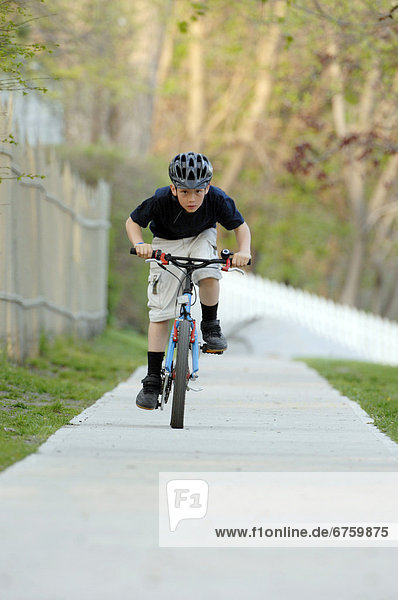 Boy Riding Bicycle on Sidewalk  Toronto  Ontario