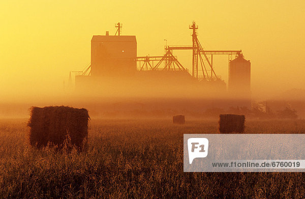 Hay Field and Feed Mill in Morning Fog  Otterbourne  Manitoba