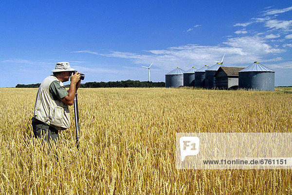 Getreide  Feld  Fotograf  Weizen  Manitoba  alt