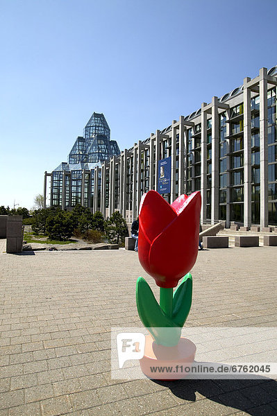 Ottawa  Hauptstadt  Skulptur  Blume  frontal  Galerie  Kanada  Ontario