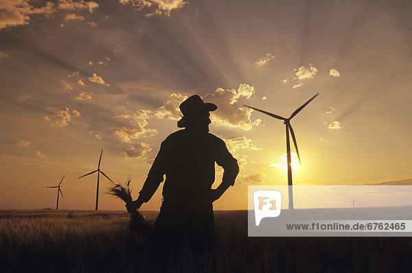 Windturbine Windrad Windräder Mann Silhouette halten Feld Gerste Leon Manitoba