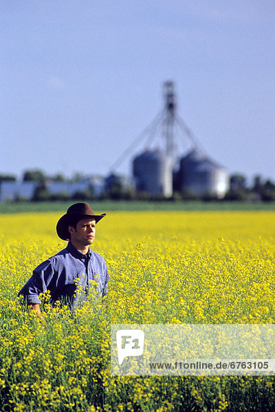Farmer in Canola Field with Grain Handling Structure in background  near Niverville  Manitoba