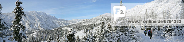 Kluane Nationalpark  Yukon