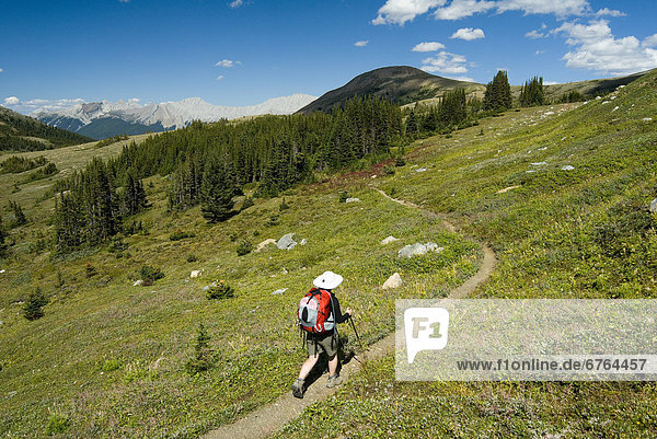 Woman Hiking on the Skyline Trail  Jasper National Park  Alberta