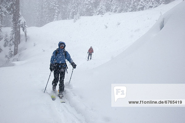Skiers heading up trail in snow storm  Cascade Mountains  British Columbia