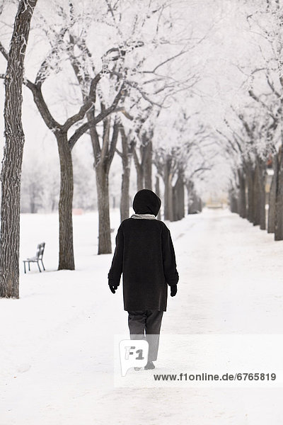 Frau Winter gehen Baum Weg Menschenreihe Assiniboine Manitoba Winnipeg
