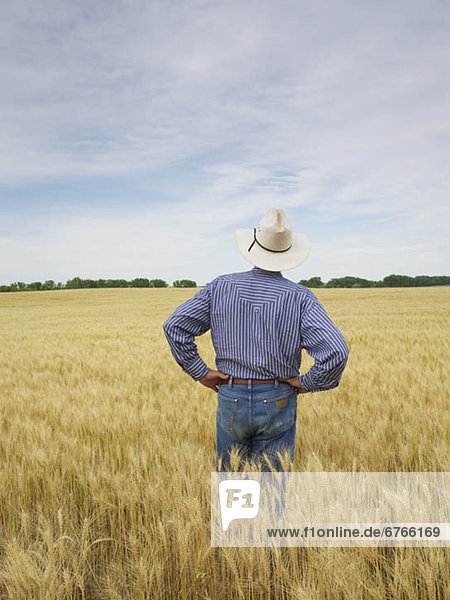 Farmer standing in wheat field