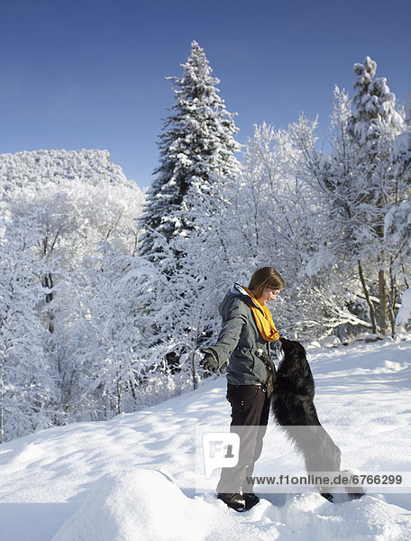USA  Colorado  woman playing with dog in winter landscape