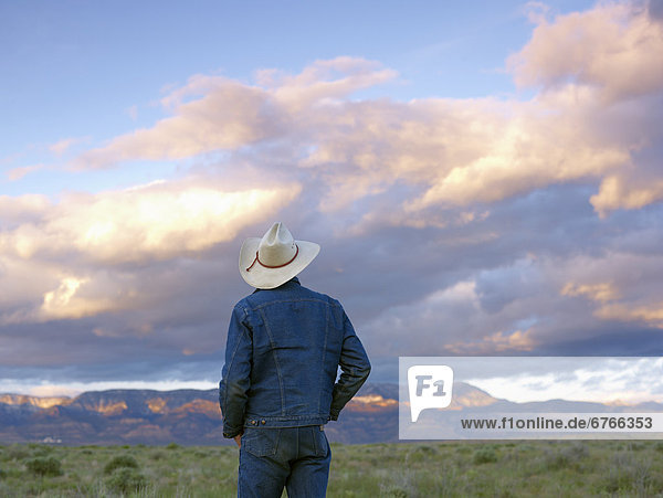 USA  Utah  Rear view of man standing in desert landscape
