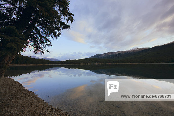 Morgen  Ruhe  See  früh  Maligne Lake  Jasper Nationalpark  Alberta