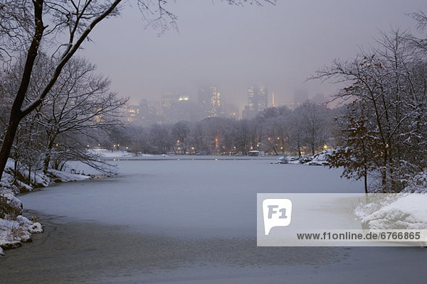 Central Park im winter