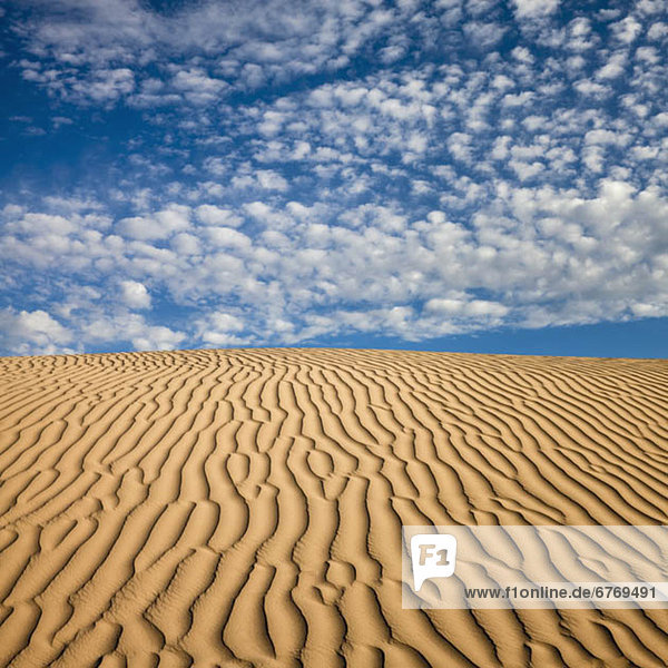 Muster  Wüste  Sand  Schnittmuster  Wasserwelle  Welle