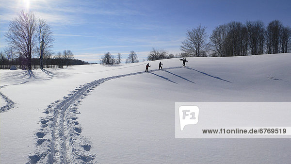 People Cross-Country Skiing  Grey County  Ontario