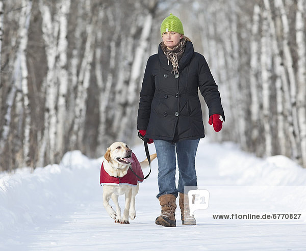 Woman walking her Yellow Labrador retriever dog  Assiniboine Forest  Winnipeg  Manitoba  Canada