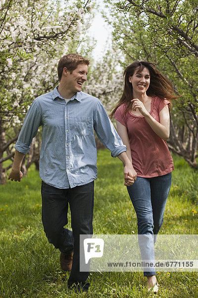 USA  Utah  Provo  Young couple walking through orchard