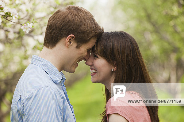 USA  Utah  Provo  Young couple face to face in orchard