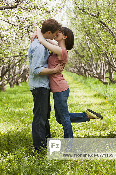 USA  Utah  Provo  Young couple kissing in orchard