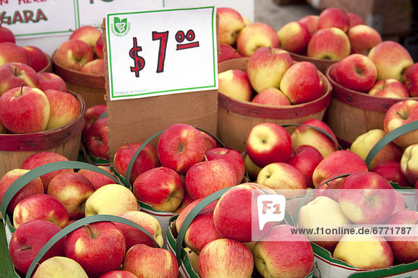 Apples in a local Farmers Market  Toronto  Ontario