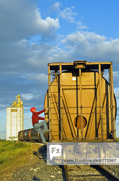 Artist's Choice: Worker climbs a grain rail hopper car at an inland grain terminal  Manitoba