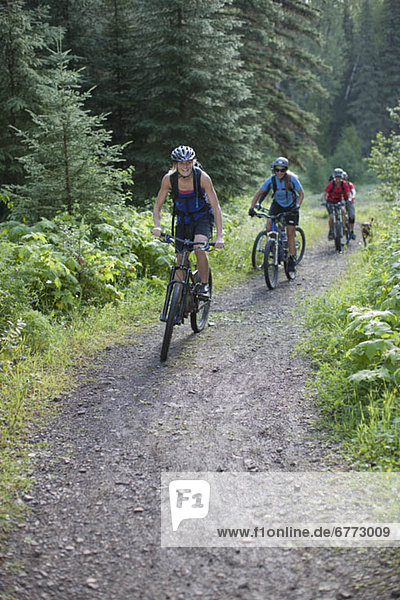 Canada  British Columbia  Fernie  group of five people enjoying mountain biking