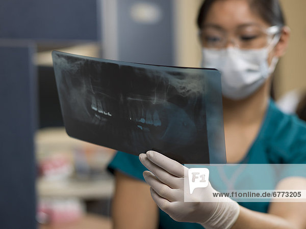 Fotografie  Prüfung  Röntgenbild  Zahnarzt