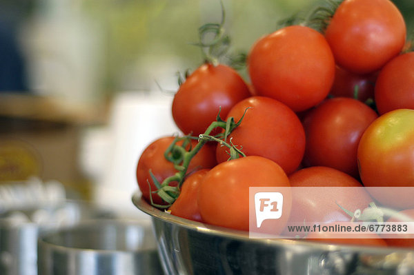Frische  Tomate  Pflanze  Markt  Ontario  Toronto