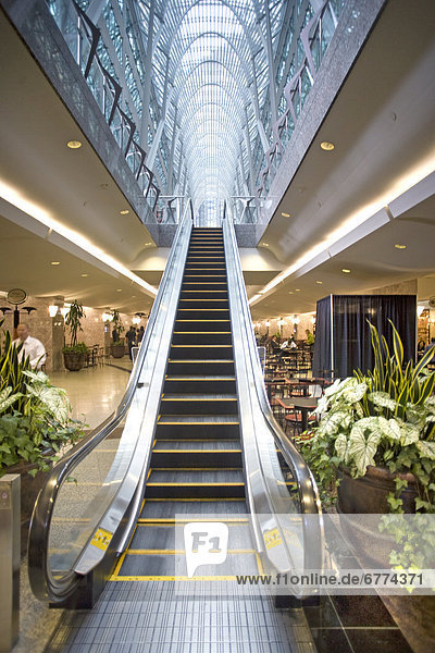 Escalator in Brookfield Place  Toronto  Ontario